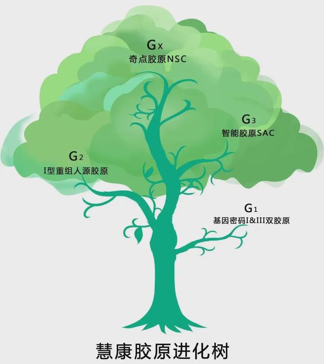 九游娱乐平台：慧康生物：「中国肽库」携手香港理工大学共同推进「多肽创新」(图12)