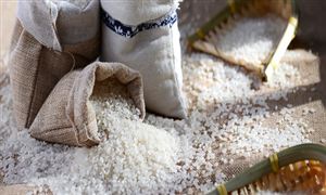 九游娱乐网站：2024年化妆品行业市场深度调研国际美妆品牌扎堆来中国开店(图6)