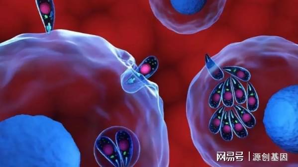 九游娱乐：外泌体：解锁亮肤增白新姿势(图3)