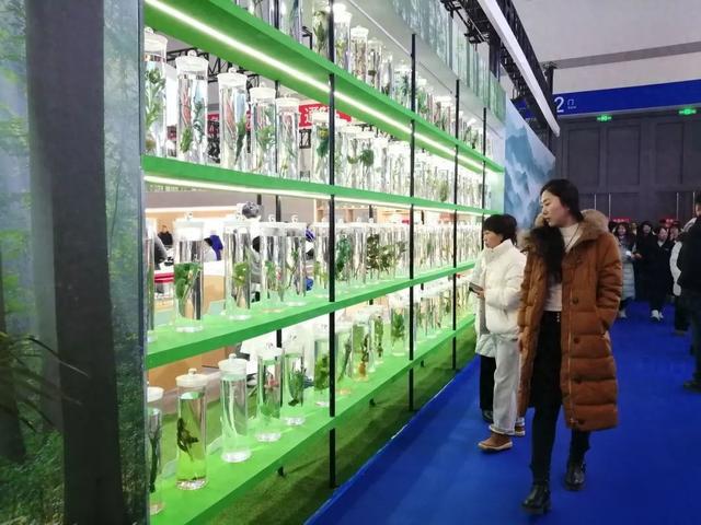 九游娱乐网站：2024长春国际医药健康产业博览会开幕(图1)