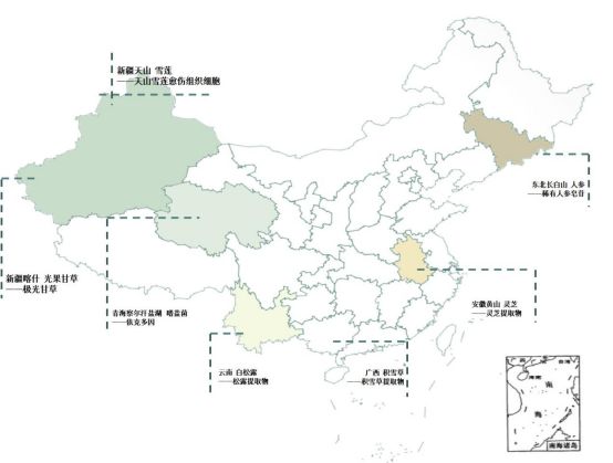 九游娱乐：文化科技双驱谷雨获评《人民日报》“2024年度中国品牌创新案例”(图3)
