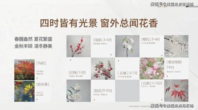 九游娱乐平台：『古美阅华』2024网站-古美阅华详情(图15)