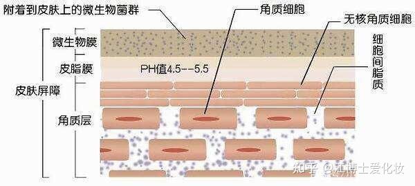 九游娱乐平台：有哪些容易被忽视但又极为重要的护肤知识？(图2)