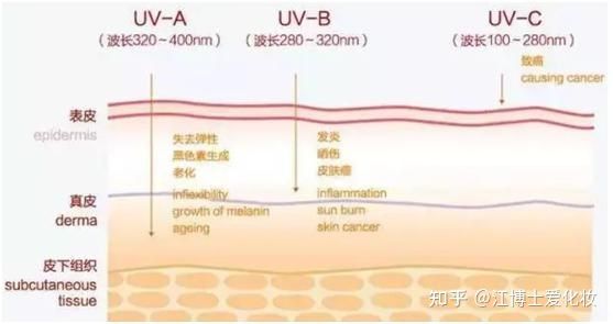 九游娱乐平台：有哪些容易被忽视但又极为重要的护肤知识？(图4)