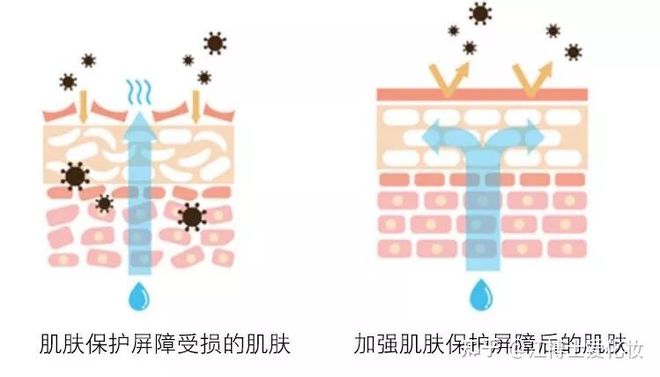 九游娱乐平台：有哪些容易被忽视但又极为重要的护肤知识？(图3)