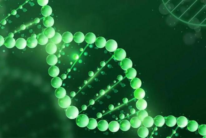 九游娱乐平台：巨子生物以重组胶原蛋白为核心赢得广泛认可(图1)
