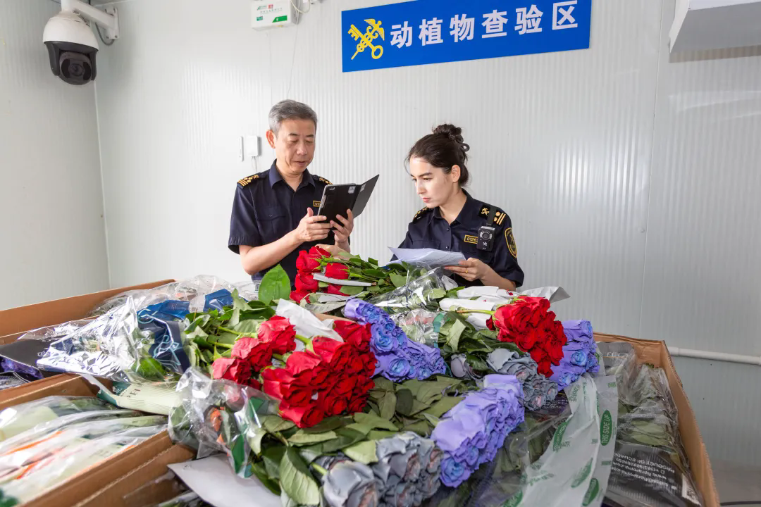 九游娱乐平台：1839万亿元！进口消费品市场红利加快释放(图1)