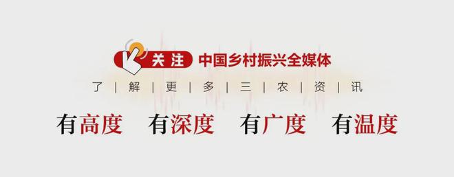 九游娱乐网站：河北蔚县：特色文化激活千年古城振兴“强引擎”(图3)