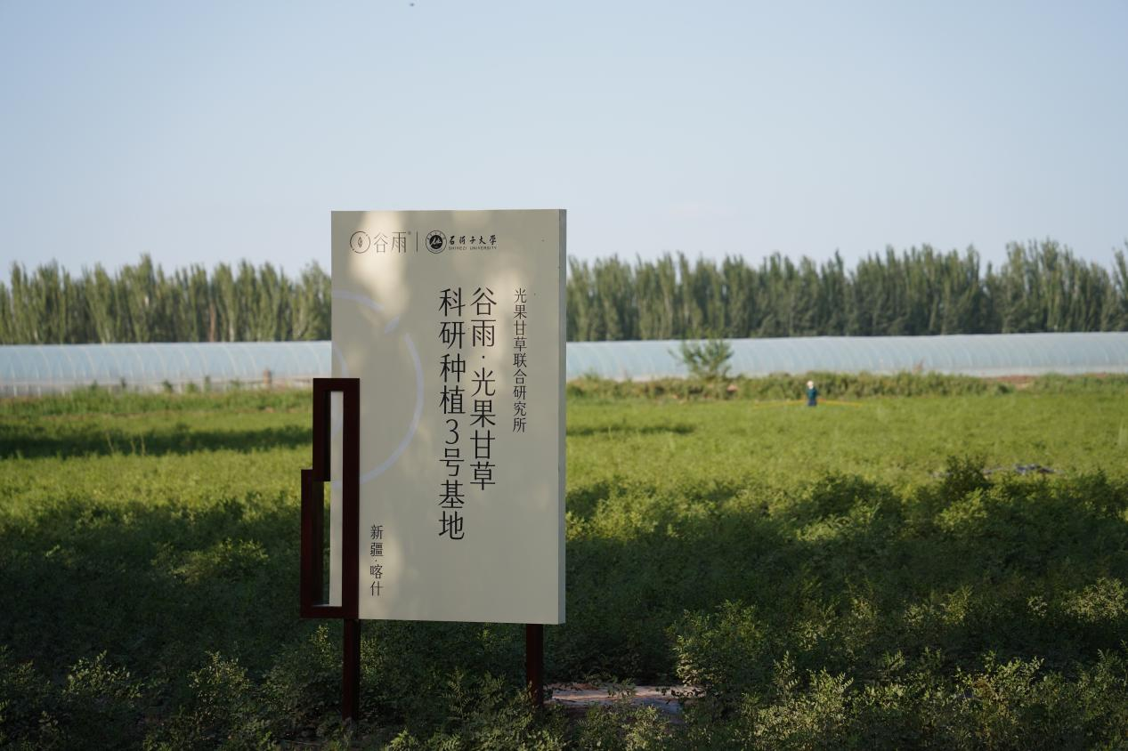 九游娱乐：谷雨首份ESG报告出炉：讲述从中国心到中国“芯”的责任行动(图5)