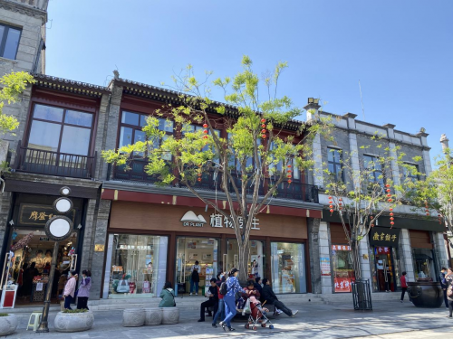 九游娱乐平台：植物医生的品牌进化论从4328家门店到全球认证(图2)