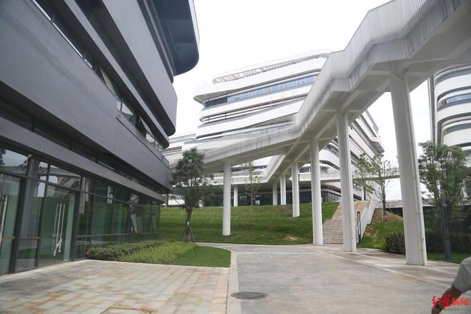 九游娱乐平台：全球首创！“成都造”仿生胶原蛋白突破热稳定性难题(图4)