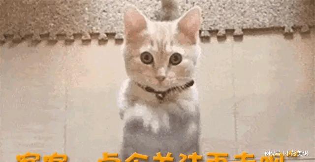 九游娱乐平台：装都不装了！58岁徐帆刚回应完离婚的传闻恶心的一幕就接连上演(图22)