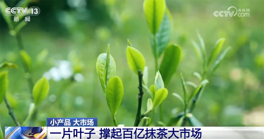 九游娱乐网站：“小”产品火爆折射经济发展澎湃动能映照出中国大市场“蓬勃活力+广阔空间”(图6)