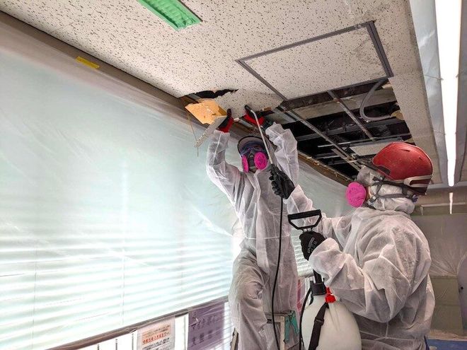 九游娱乐平台：颠覆！68岁日本老太惨死凶手竟是50年前用过的化妆品！潜伏期长到令人窒息(图8)