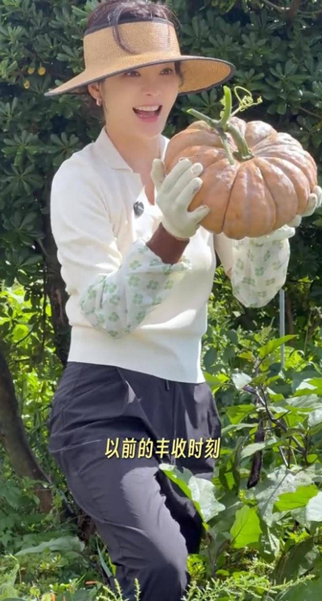 九游娱乐：与高梓淇离婚6年蔡琳带儿子搬离济州岛别墅光化妆品就装3车(图6)