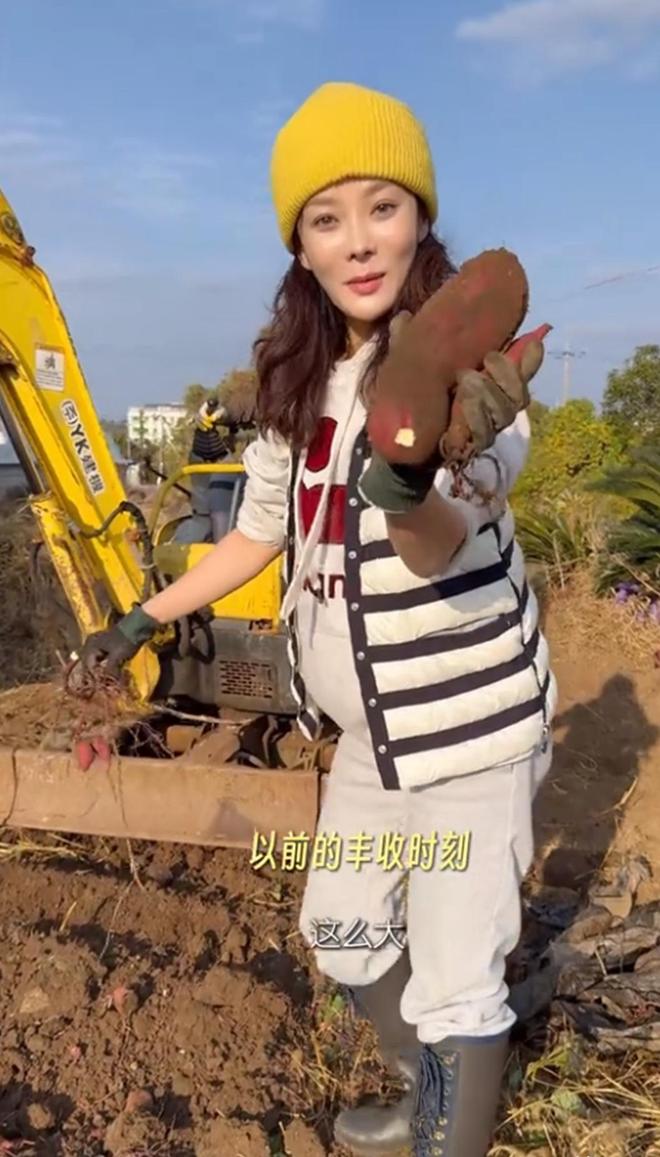 九游娱乐：与高梓淇离婚6年蔡琳带儿子搬离济州岛别墅光化妆品就装3车(图5)